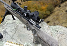 Ruger .204 Rifle