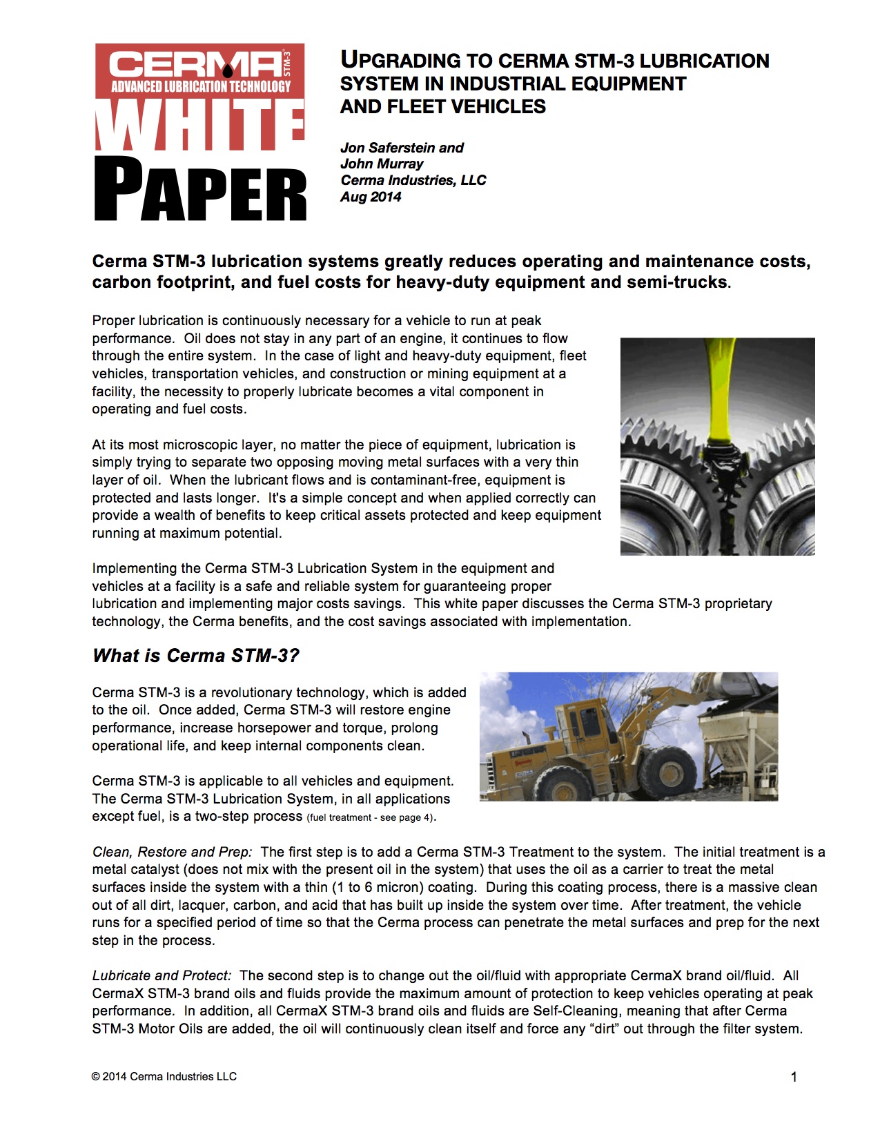 White Paper 1